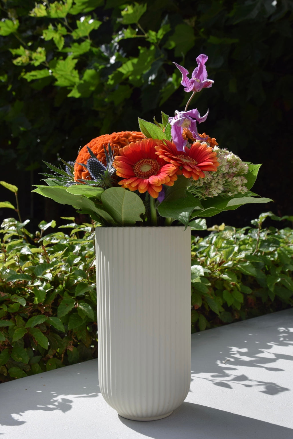 Vaas Hailey